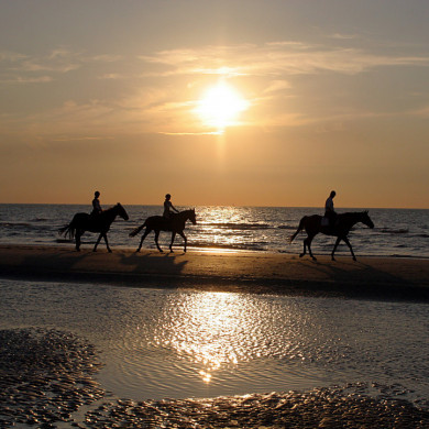 vacances camargue le grau du roi