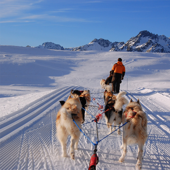 vacances neige savoie les karellis chiens de traineaux